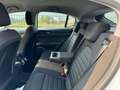 Alfa Romeo Stelvio Stelvio 2.2 Td 190 CV AT8 Q4 Business Bianco - thumbnail 11