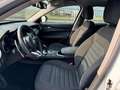 Alfa Romeo Stelvio Stelvio 2.2 Td 190 CV AT8 Q4 Business Bianco - thumbnail 9