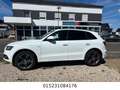 Audi Q5 3.0 TDI S Line Automatik+Leder+Xenon+Navi+Tem Weiß - thumbnail 2