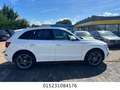 Audi Q5 3.0 TDI S Line Automatik+Leder+Xenon+Navi+Tem Weiß - thumbnail 6