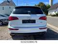 Audi Q5 3.0 TDI S Line Automatik+Leder+Xenon+Navi+Tem Weiß - thumbnail 4