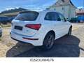 Audi Q5 3.0 TDI S Line Automatik+Leder+Xenon+Navi+Tem Weiß - thumbnail 5