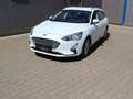 Ford Focus Cool & Connect 1,0 EcoBoost Start/Stopp Weiß - thumbnail 35