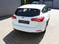 Ford Focus Cool & Connect 1,0 EcoBoost Start/Stopp Weiß - thumbnail 9
