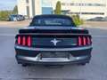 Ford Mustang // CABRIOLET // CUIR // GPS // FULL OPTION Gris - thumbnail 5
