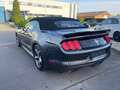Ford Mustang // CABRIOLET // CUIR // GPS // FULL OPTION Gris - thumbnail 4