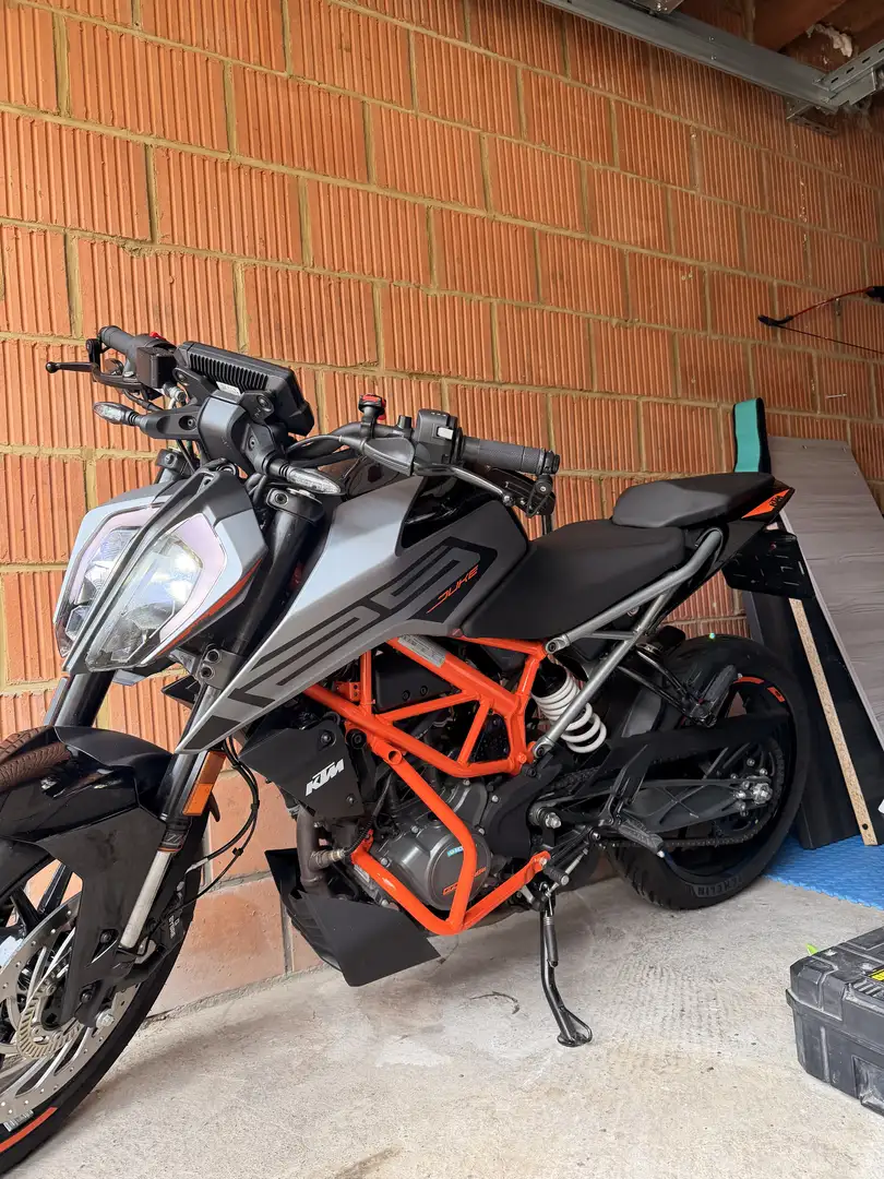 KTM 125 Duke accessoires courts, ligne akra, crash barre, ect.. Grijs - 1