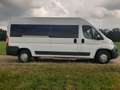 Fiat Ducato L4H2 verglast Klima Navi Tempo Standheiz. Weiß - thumbnail 2