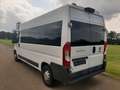 Fiat Ducato L4H2 verglast Klima Navi Tempo Standheiz. Weiß - thumbnail 6