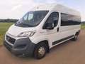 Fiat Ducato L4H2 verglast Klima Navi Tempo Standheiz. Weiß - thumbnail 4