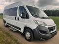 Fiat Ducato L4H2 verglast Klima Navi Tempo Standheiz. Weiß - thumbnail 1
