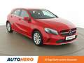 Mercedes-Benz A 160 A 160 Austria Edition Style Rot - thumbnail 8