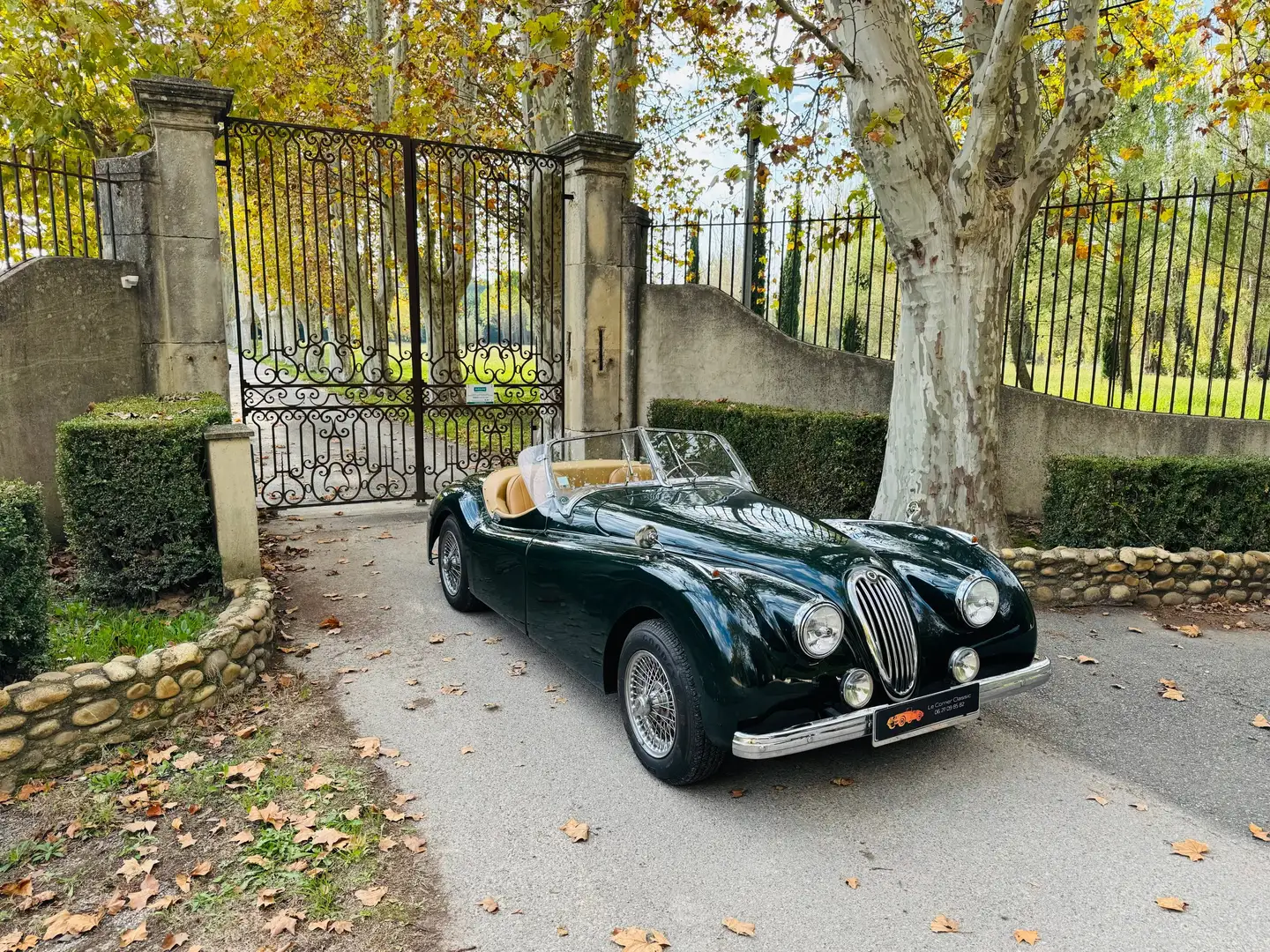 Jaguar XK xk120 Eagle replica Verde - 1