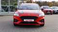 Ford Focus Turnier 1.0 M-Hybrid ST-Line LED Navi ACC Rot - thumbnail 3