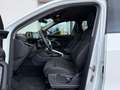 Audi Q5 2.0 TDI quattro 150 kW/ 21"/ BUSINESS/ S LINE Weiß - thumbnail 10