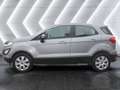 Ford EcoSport Cool & Connect - Winter-Paket Silber - thumbnail 2