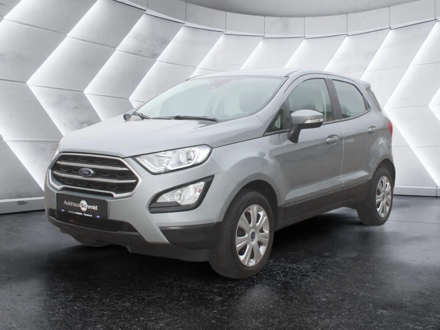 Ford EcoSport Cool & Connect - Winter-Paket Silber - 1