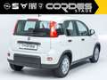 Fiat Panda Pandina City Paket 1.0 Mild Hybrid PDC Klima DAB ( Weiß - thumbnail 4