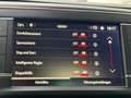 Opel Zafira Life ZAFIRA LIFE TOURER M*ACC*PANO*LEDER*KAM*MEMORY* Gris - thumbnail 37