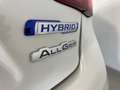 Suzuki Ignis 1.2 Mild Hybrid GLX 4WD Blanco - thumbnail 20