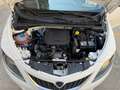 Lancia Ypsilon 1.0 FireFly 5pS&S Hyb. Eco Silv. Bianco - thumbnail 12