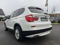 BMW X3 xDrive 20 d-Teilleder -AHK Blanc - thumbnail 5