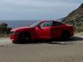 Dodge Charger SXT (Premium Package) Rosso - thumbnail 6