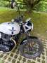 Triumph Street Twin Alb - thumbnail 9
