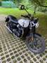 Triumph Street Twin Alb - thumbnail 1