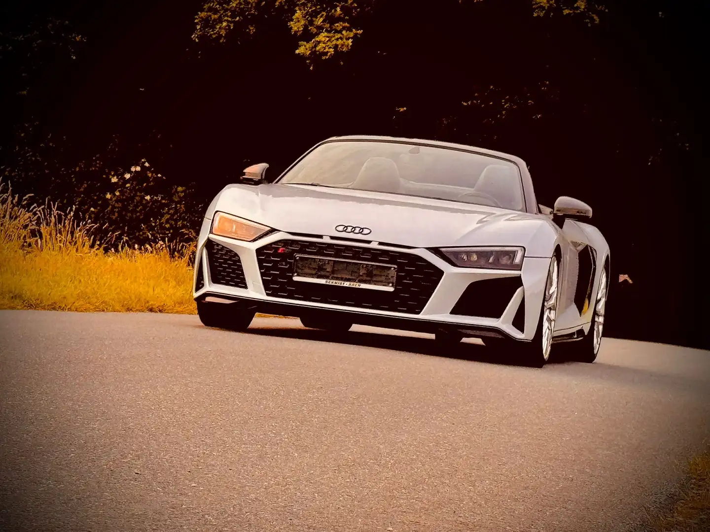 Audi R8 5.2 FSI quattro performance Grau - 2