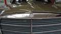 Mercedes-Benz Baureihe 123 230E( 123) H-Kennzeichen Guter Zustand Grün - thumbnail 8