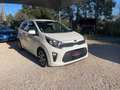 Kia Picanto 1.0L 67 ch BVM5 Launch Edition / Camera de recul / Carplay Weiß - thumbnail 3