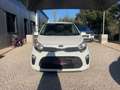 Kia Picanto 1.0L 67 ch BVM5 Launch Edition / Camera de recul / Carplay Alb - thumbnail 2