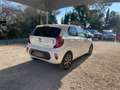 Kia Picanto 1.0L 67 ch BVM5 Launch Edition / Camera de recul / Carplay Weiß - thumbnail 5