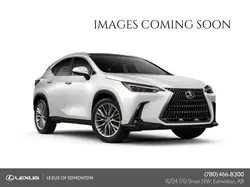 2024 Lexus NX