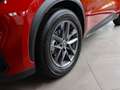 Lexus LBX Komfort-Paket "sofort Verfügbar" Rot - thumbnail 13