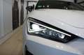 CUPRA Leon VZ 2.0 TSI DSG 4JGAR+COPPER FELGEN+RKAM Klima Weiß - thumbnail 19