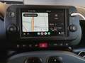 Fiat Panda Cross1.0 70 Cv firefly hybrid  CarPlay 5 P Vert - thumbnail 14