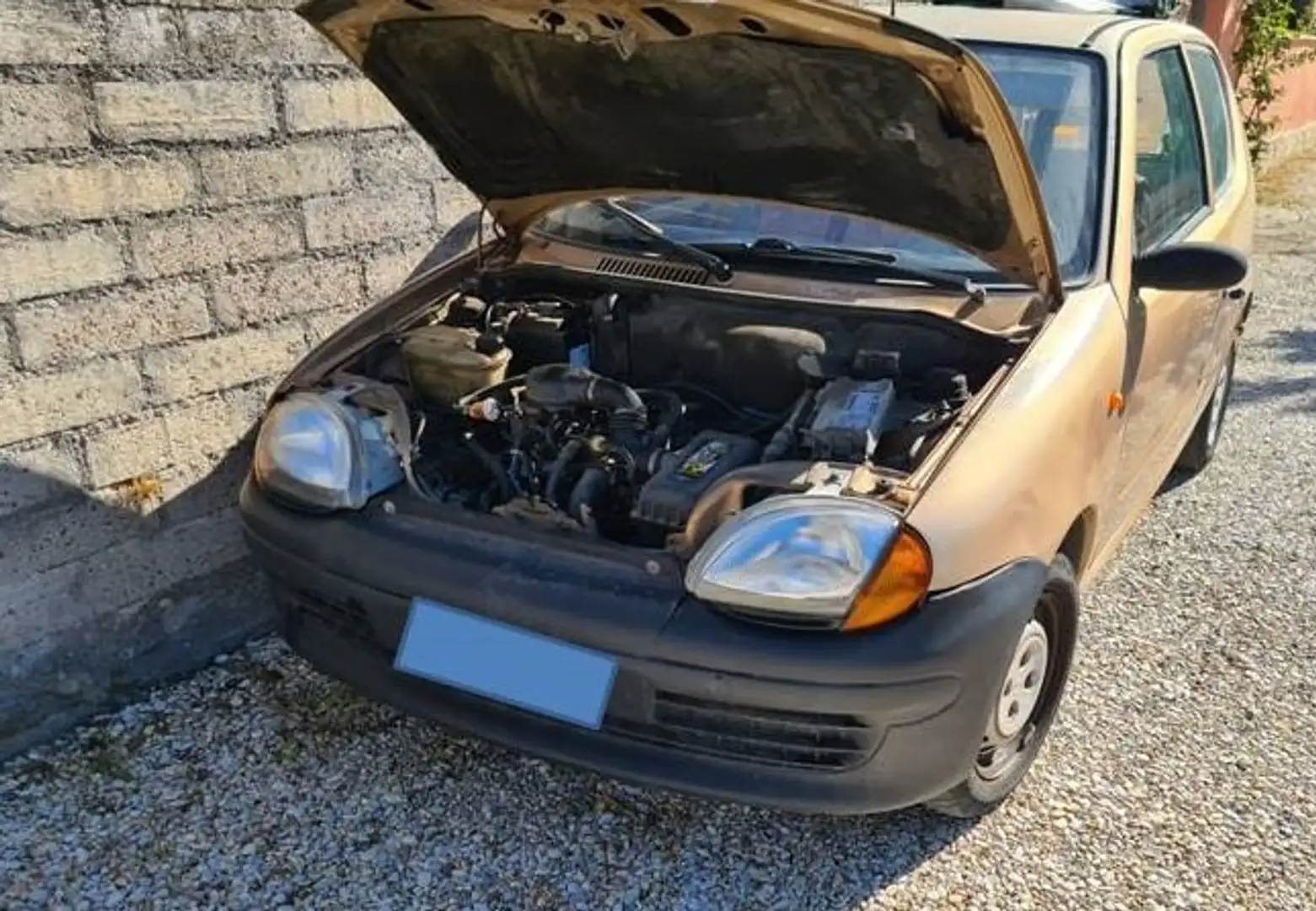 Fiat Seicento Seicento+0.9+S Zlatna - 1
