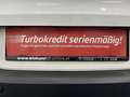 Volkswagen Tiguan 2,0 TDI  4Motion Track&Field Aut.* NAVIGATIONSS... Weiß - thumbnail 18
