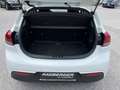 Kia Rio 1,2 DPI Silber ISG Weiß - thumbnail 11