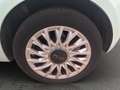 Fiat 500 500 III 2015 1.2 Lounge easypower Gpl 69cv Verde - thumbnail 12