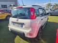 Fiat Panda Panda 1.0 FireFly S&S Hybrid City Life Bianco - thumbnail 6