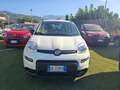 Fiat Panda Panda 1.0 FireFly S&S Hybrid City Life Bianco - thumbnail 3