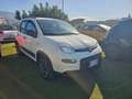 Fiat Panda Panda 1.0 FireFly S&S Hybrid City Life Bianco - thumbnail 2