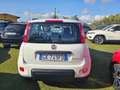 Fiat Panda Panda 1.0 FireFly S&S Hybrid City Life Bianco - thumbnail 5