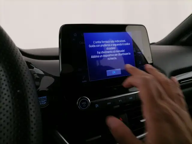 Ford Puma view 15
