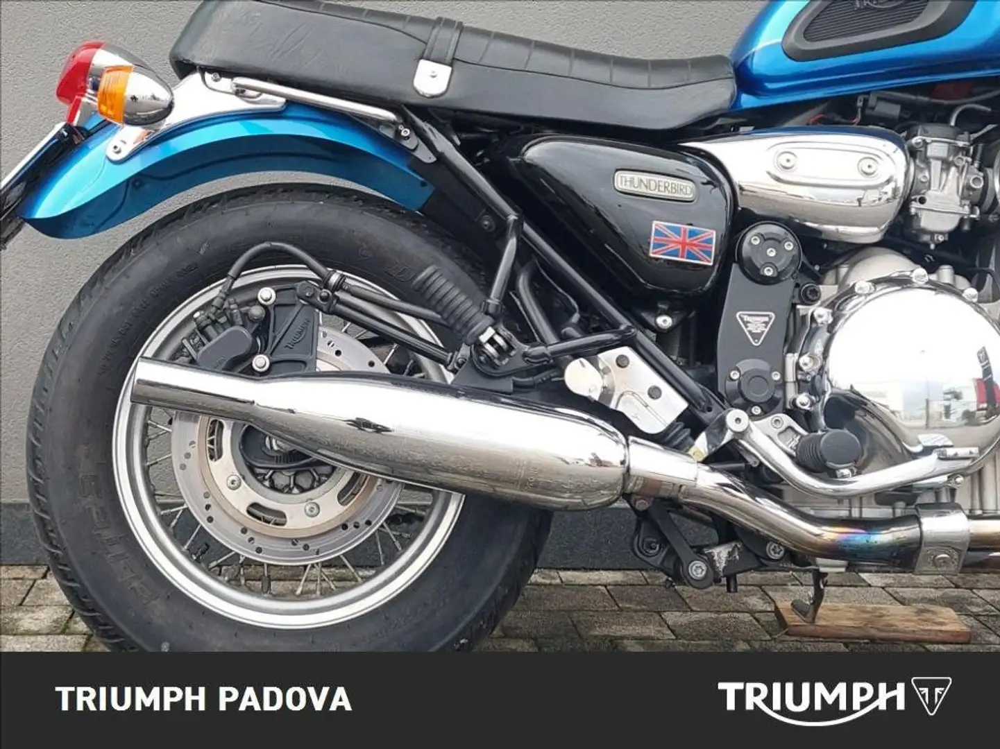 Triumph Thunderbird Sport 900 Blu/Azzurro - 2