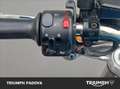 Triumph Thunderbird Sport 900 Blu/Azzurro - thumbnail 12