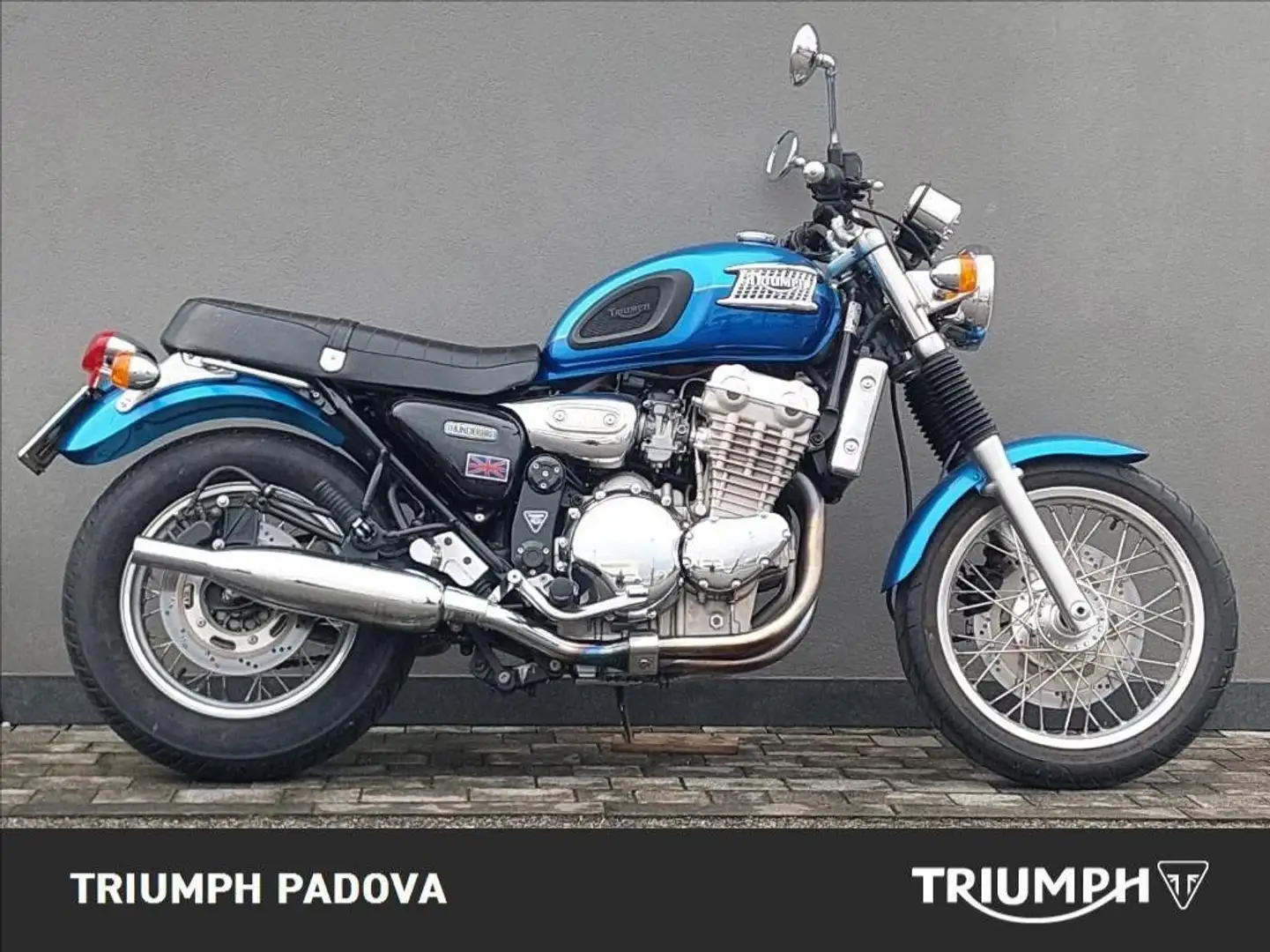 Triumph Thunderbird Sport 900 Blu/Azzurro - 1